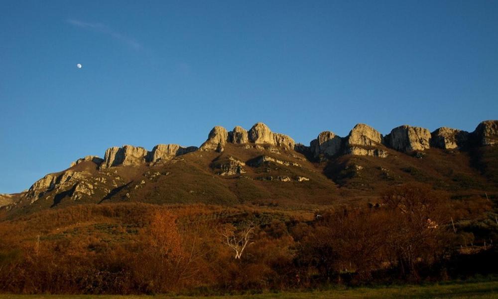 Agriturismo Al Gallo Verde Altavilla Silentina Luaran gambar